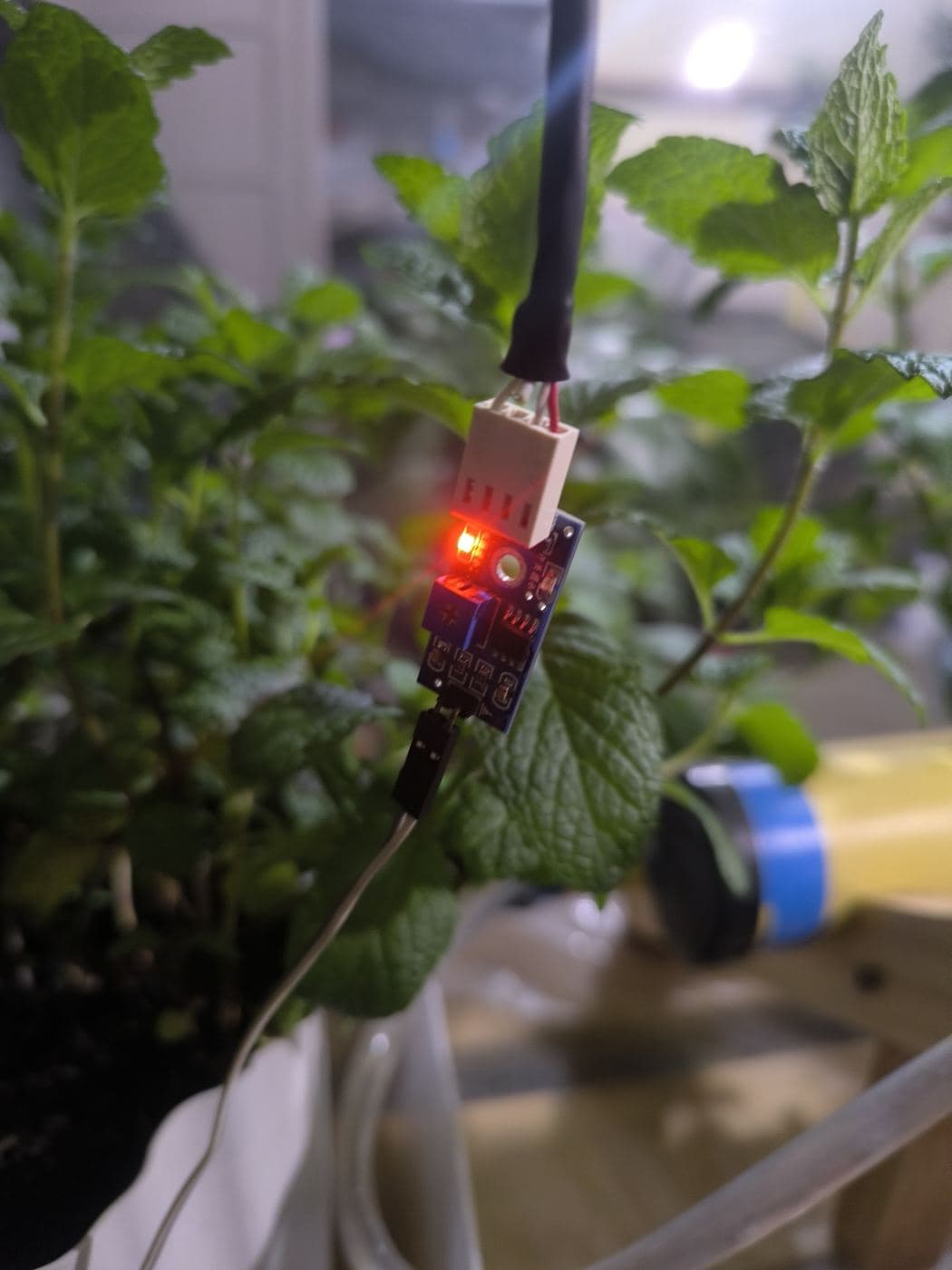 El nodo ESP32 midiendo